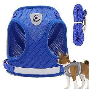 Σαμαράκι XS ανακλαστικό άνετο & ανθεκτικό XS για πολύ μικρά κατοικίδια με λουρί 110cm μαύρο.