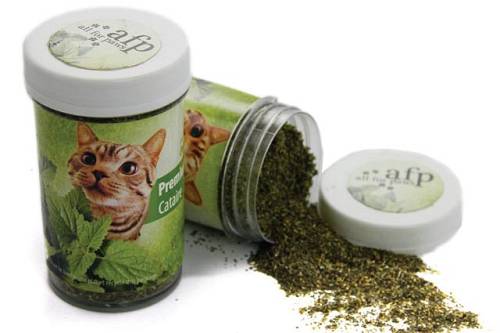Κατ νιπ γάτας Green Rush Premium Catnip 25gr. Η γάτα σας θα το λατρέψει.