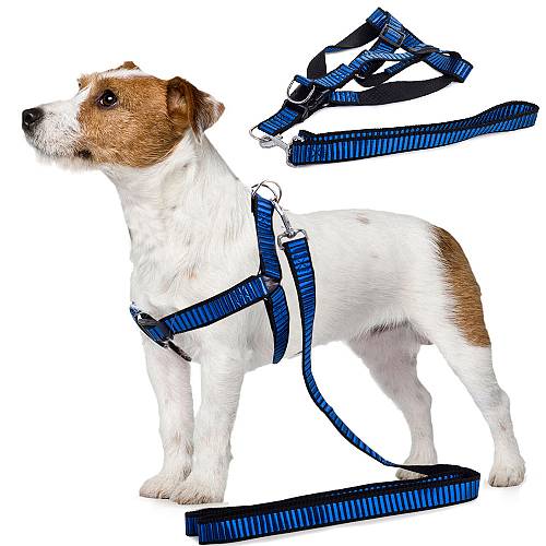Λουρί - στηθόλουρο μπλε για σκύλους ισχυρό με πλάτος 2.5cm
